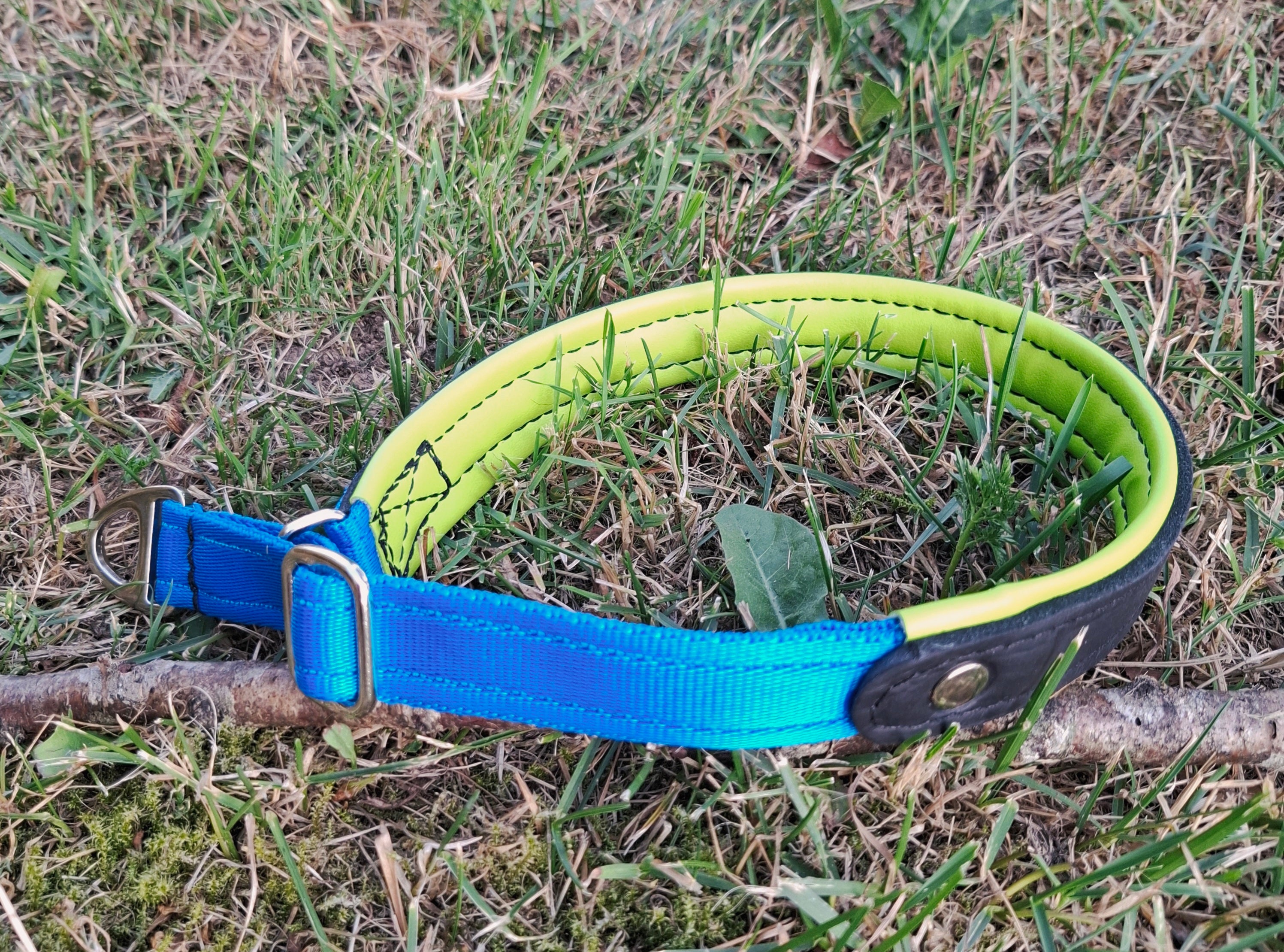 Reglerbart halsband i halvstrypmodell