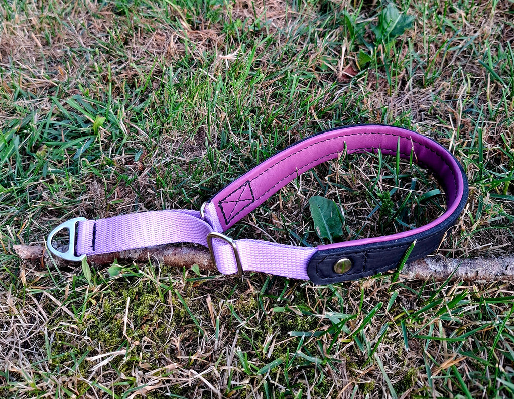 Reglerbart halsband i halvstrypmodell