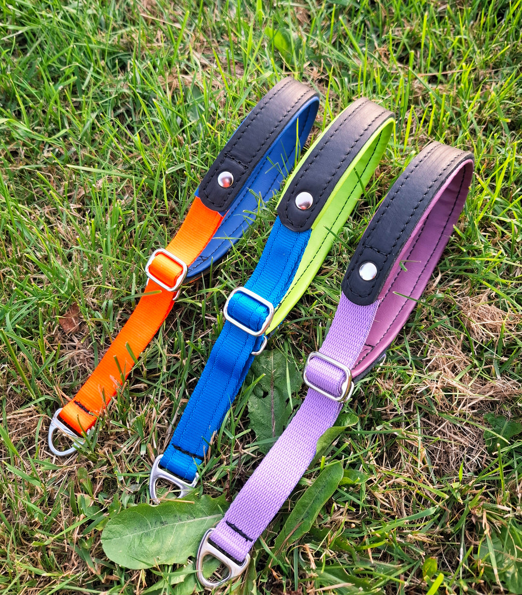 Reglerbart halsband i halvstrypmodell